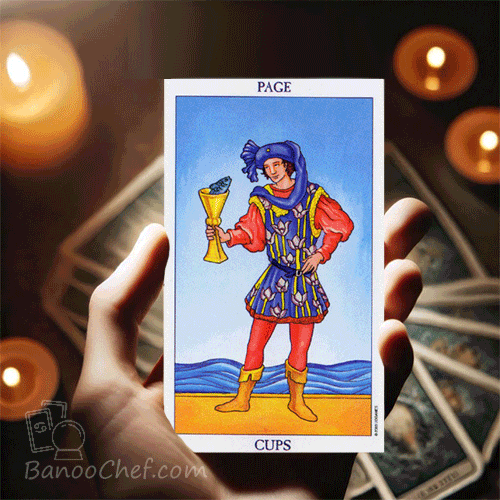 کارت نوباوه جام تاروت معنی کارت نوباوه جام تاروت ( 56 کارت )