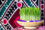 سبزه عید با انواع بذر